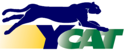 YCAT